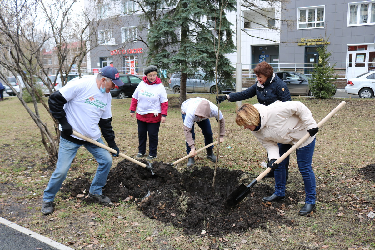 24 апреля 2021 года в Орджоникидзевском районе прошли общероссийская посадка деревьев "Сад памяти" и республиканская акция "Зеленая Башкирия"